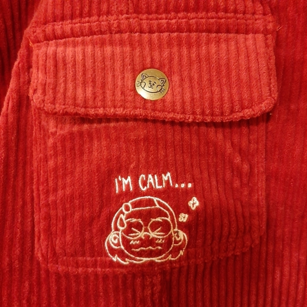 Disney Skirt Women's 3X Turning Red Embroidered Corduroy Mini Vacation Movie Fan - Picture 4 of 10